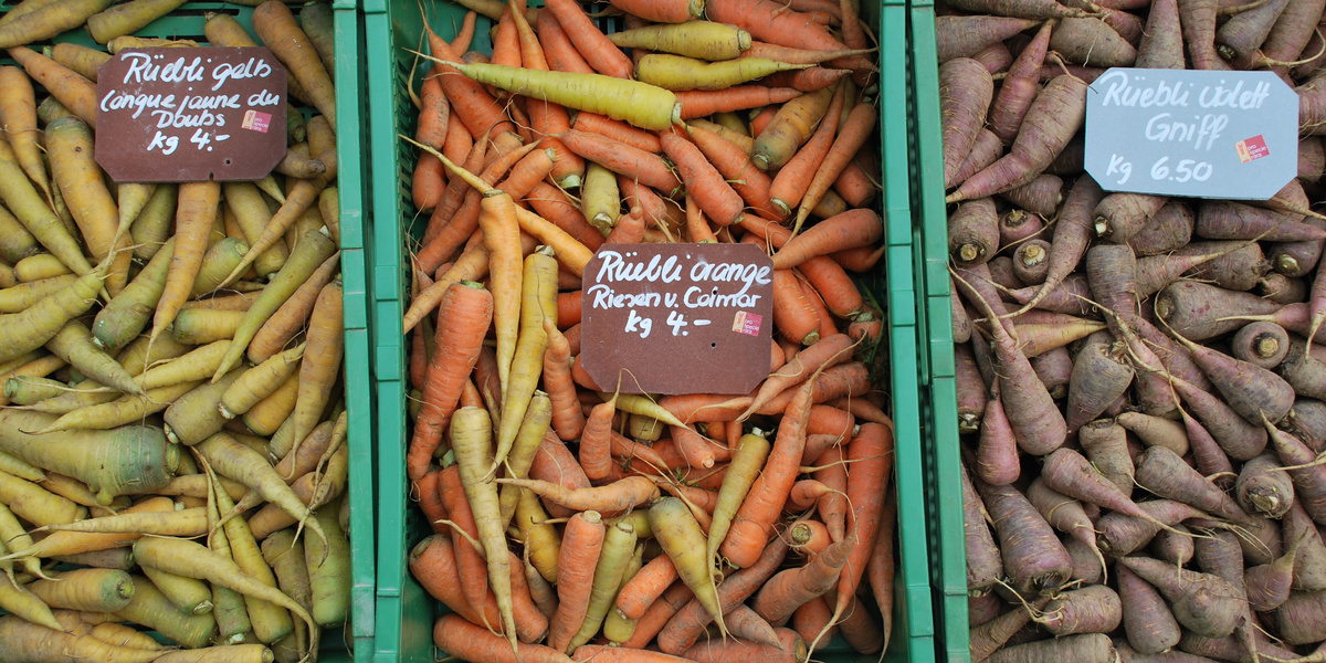 Carottes de différentes couleurs sur l'étalage